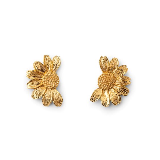 Pendientes Isola Bella Mujer in Plata 60000050 - 60000050